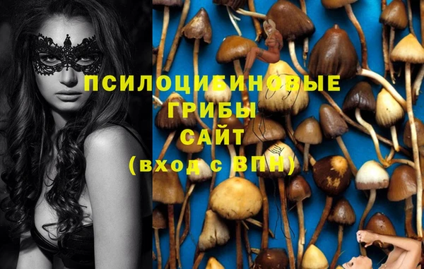 стафф Куйбышев