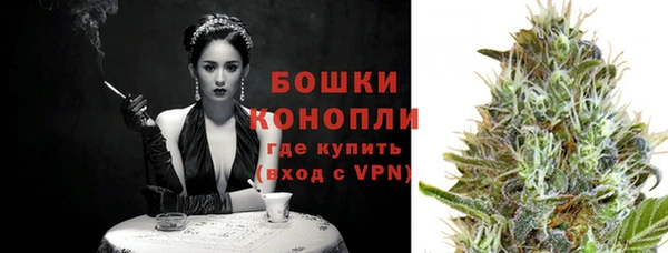соль ск Кукмор