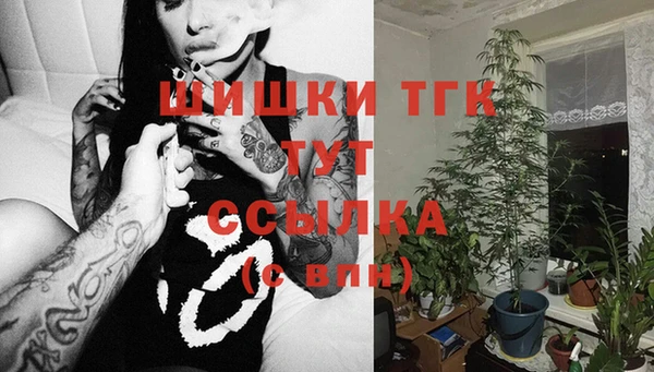 стафф Куйбышев