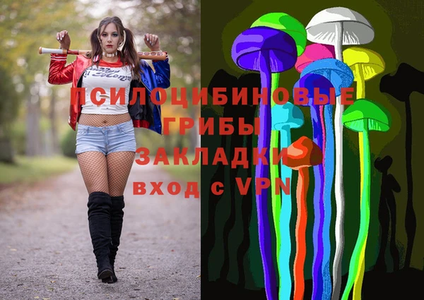 стафф Куйбышев