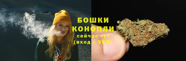 стафф Куйбышев