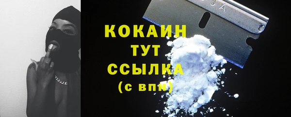 соль ск Кукмор