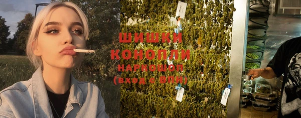 соль ск Кукмор