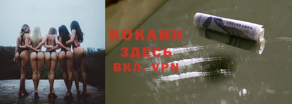 дживик Кулебаки
