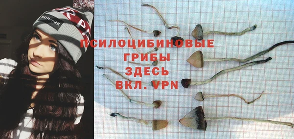 соль ск Кукмор