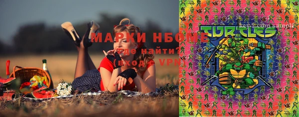 соль ск Кукмор