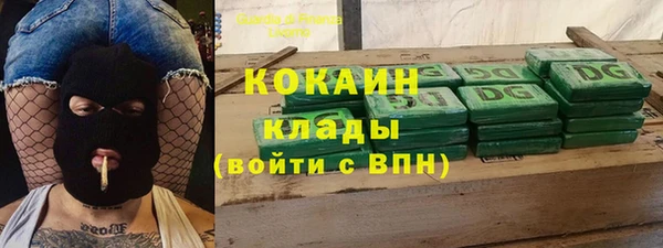 соль ск Кукмор