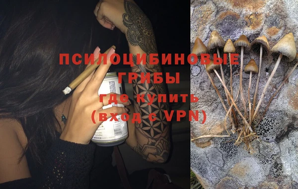 стафф Куйбышев