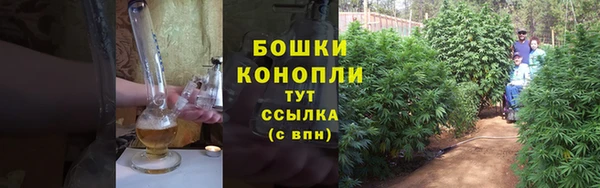 соль ск Кукмор