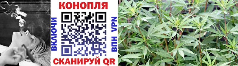 Купить где  Солнечногорск  Конопля марихуана 
